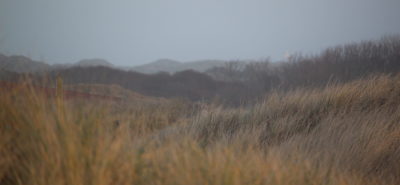 Juister Dünen für digitale Steuerberatung Apotheker Juister Dünen