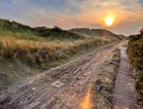 Buchhaltung als Prozess mit DATEV Unternehmen online